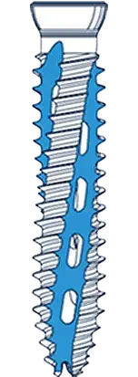 Open-architecture Screw