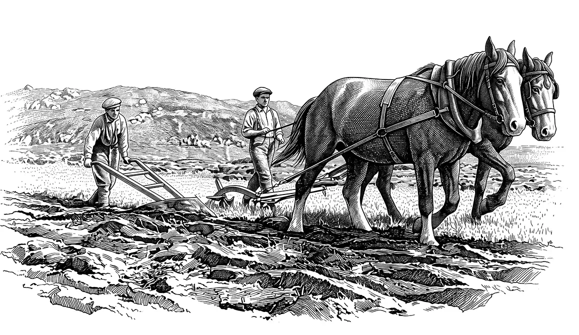 Settlers ploughing a field with a team of horses
