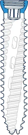 Cannulated screw head