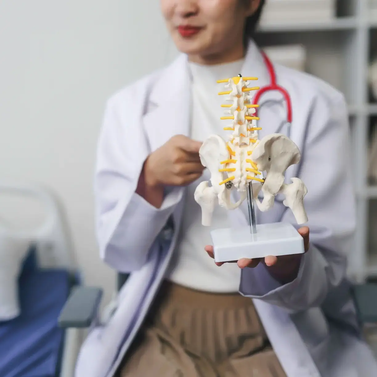 Physician showing a model of the spine and pelvis