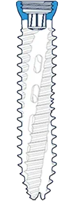 Tête de vis canulée